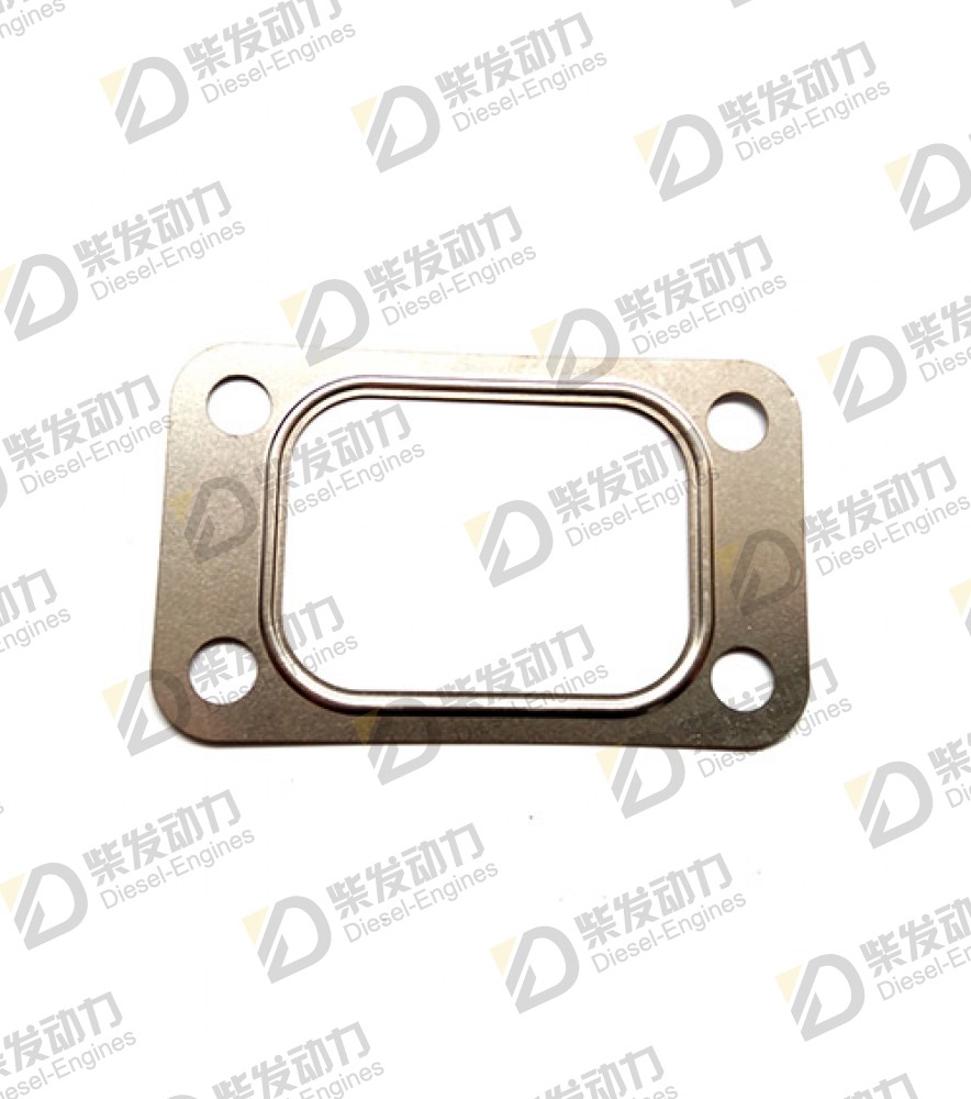 Gasket 420618 